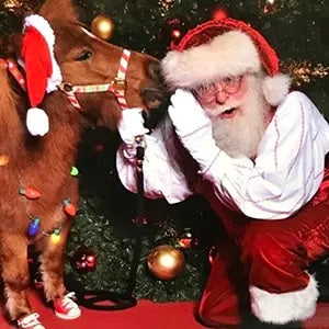 Santa Max visit photo