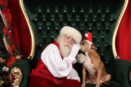 Santa Max visit photo